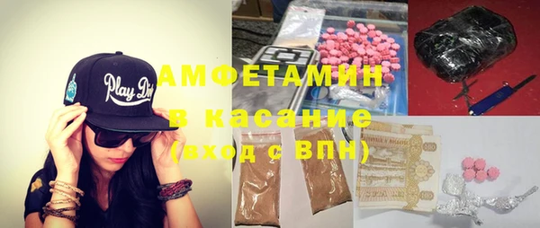 трава Няндома
