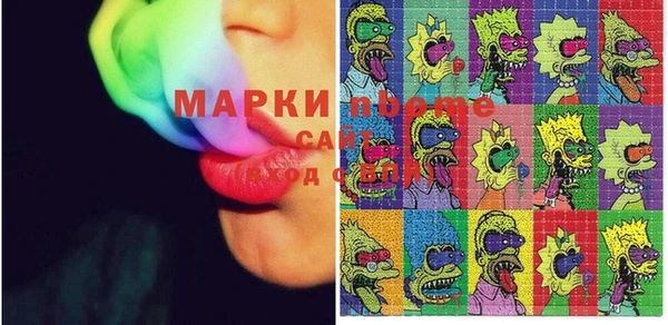 трава Няндома