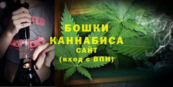 PSILOCYBIN Бугульма