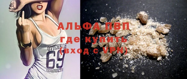 трава Няндома
