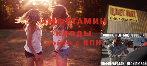 трава Няндома
