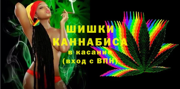 дживик Новозыбков
