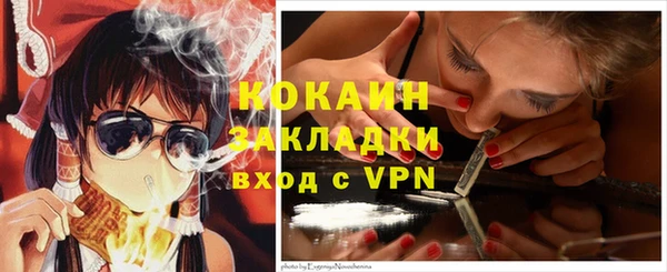 трава Няндома