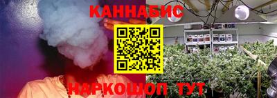 спиды Бийск