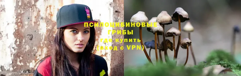 ссылка на мегу как войти  закладка  Волгоград  Галлюциногенные грибы Psilocybe 