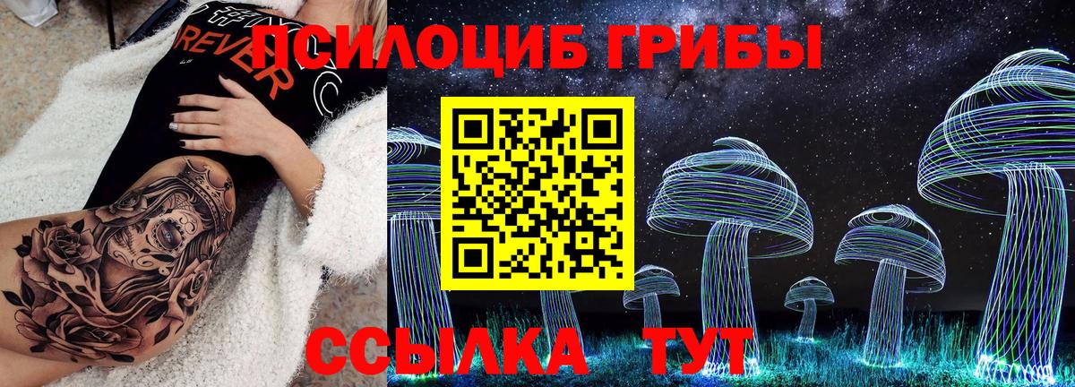 Псилоцибиновые грибы Cubensis  Галлюциногенные грибы мицелий  купить   Волгоград 