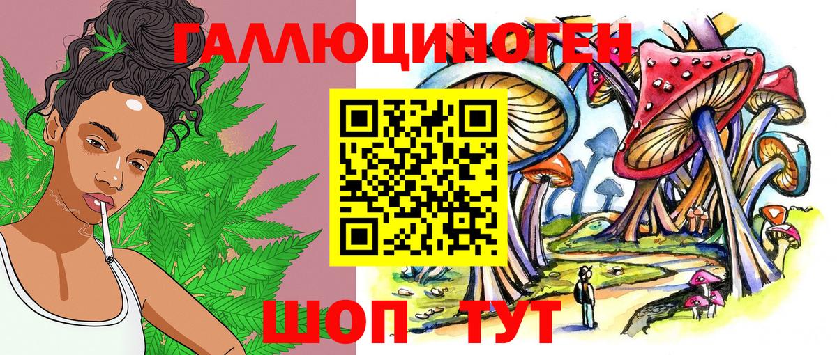 Волгоград  Псилоцибиновые грибы Psilocybe  Вход с VPN 